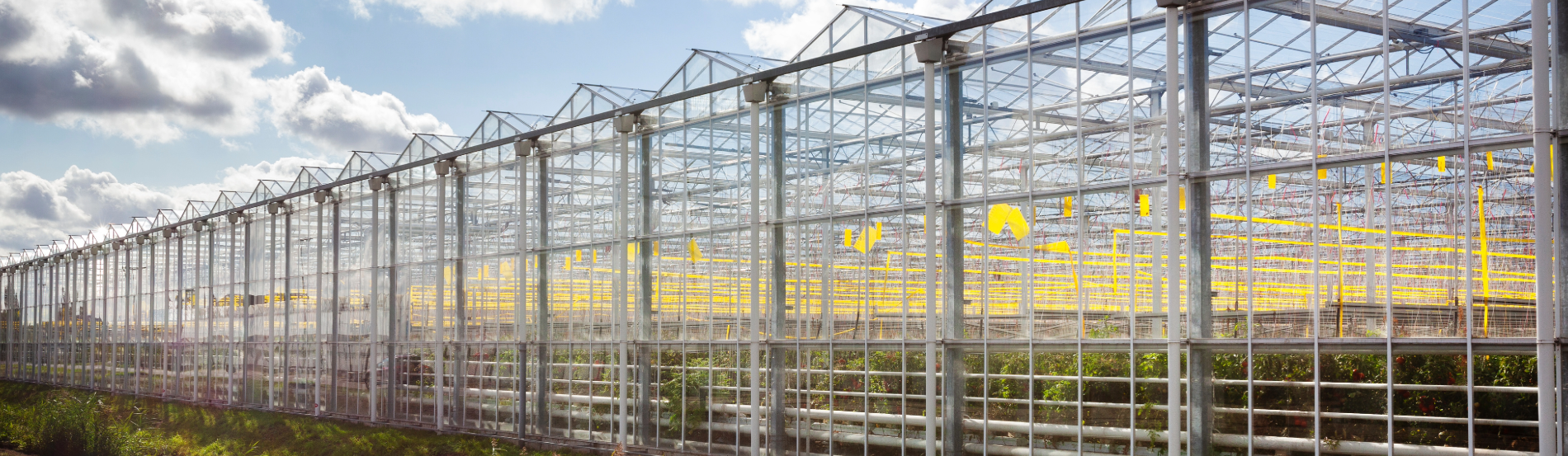 Optimisez votre isolation thermique avec la double paroi et bénéficiez des aides CEE
