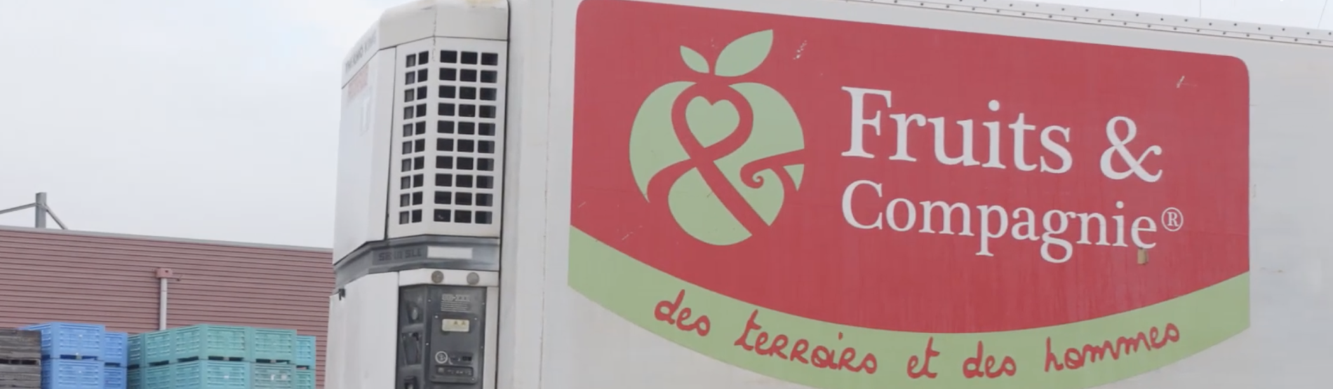 Structuration de filière et innovation chez Fruits et Compagnie avec l’accompagnement de nos experts