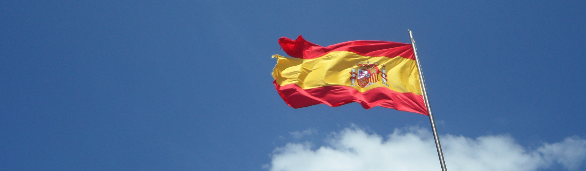 Business Developer en Eficiencia Energética – CAE