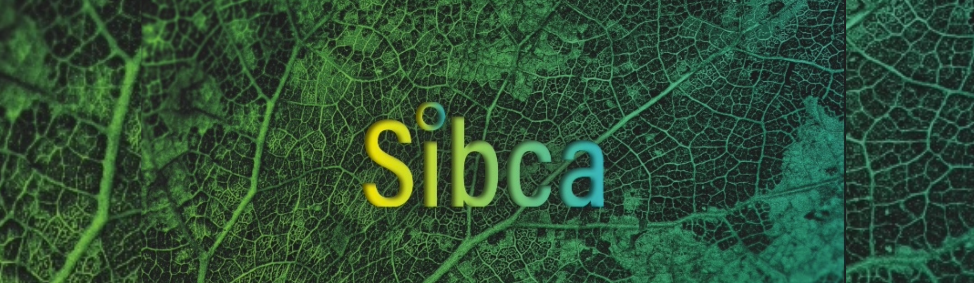 Retrouvez Ilex Environnement au SIBCA 2025
