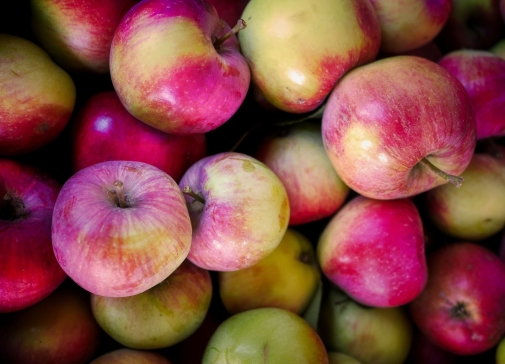 Conditionnement de pommes et de poires, combien coutent les travaux de modernisation d'un entrepôt de stockage ?