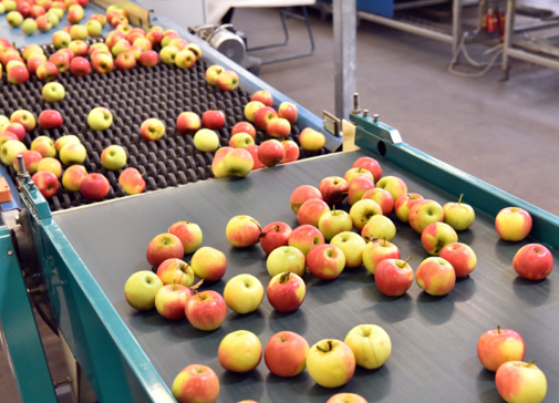 Conditionnement de pommes et de poires, combien coutent les travaux de modernisation d'un entrepôt de stockage ?