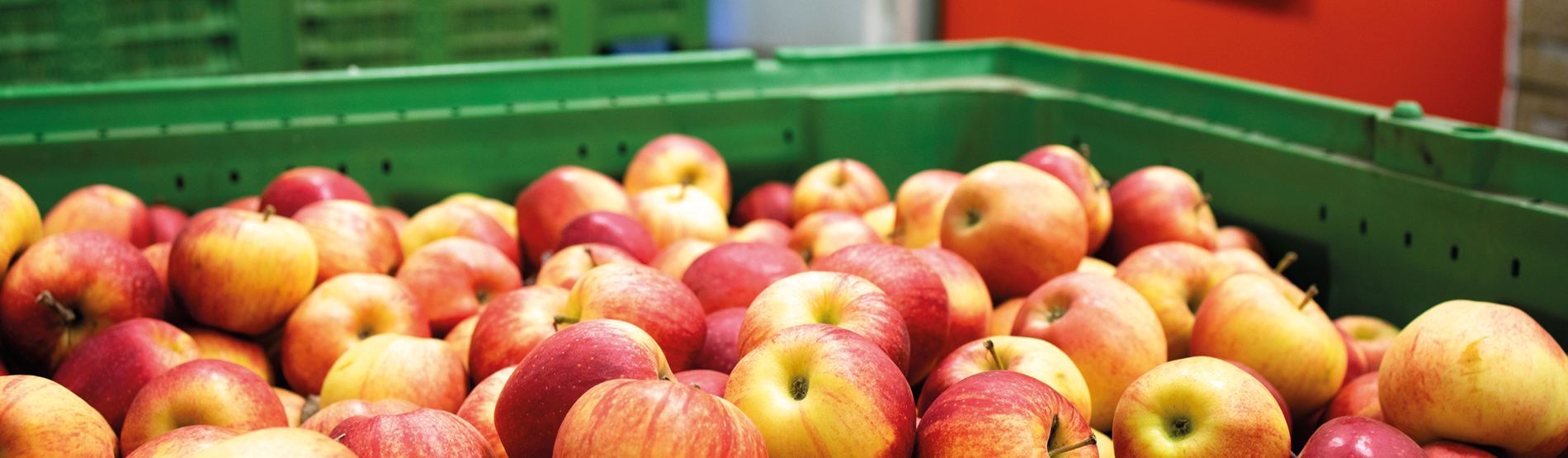 Conseil en financement dans l'industrie agroalimentaire